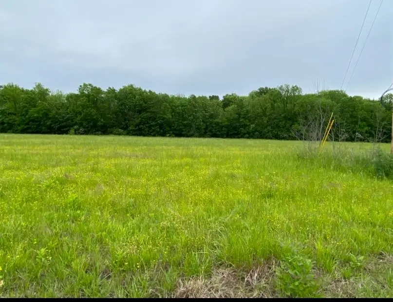 LT 138 BANDIT WAY, Savannah, TN 38372 - #3