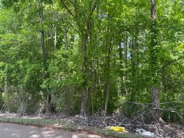 LIBERTY RD, Moscow, TN 38057 - #1