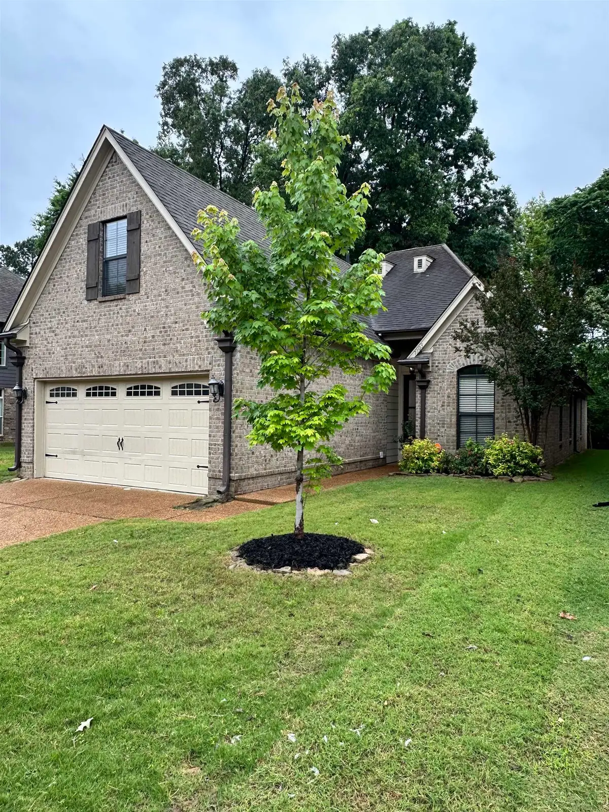 7303 WINTERBROOK LN, Cordova, TN 38018 - #1