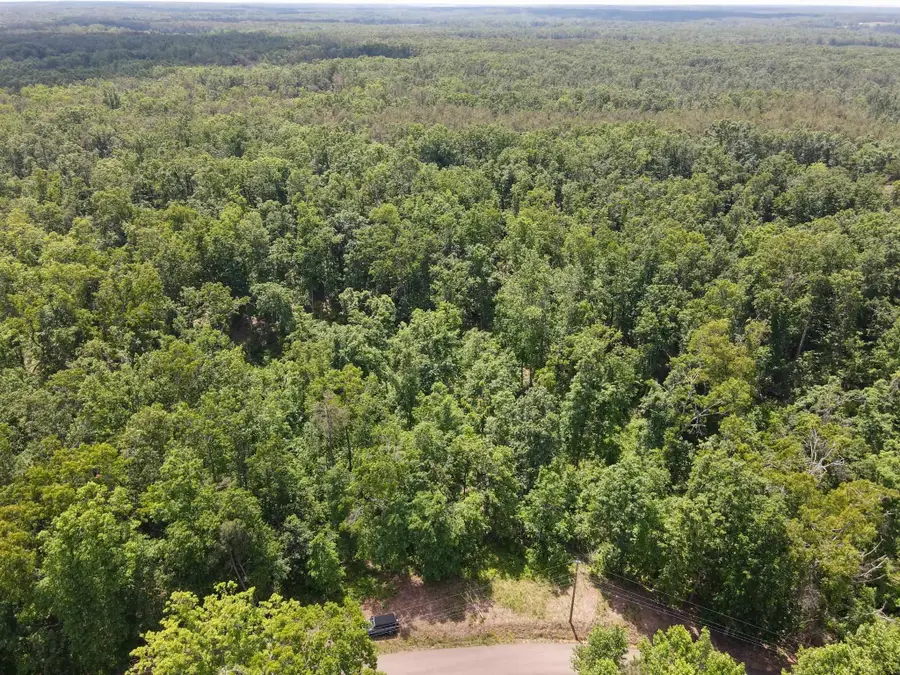 275 MOCKINGBIRD LN, Savannah, TN 38372 - #2