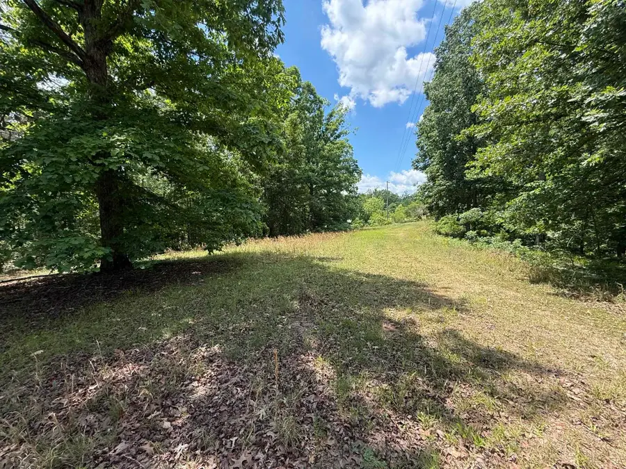 275 MOCKINGBIRD LN, Savannah, TN 38372 - #3
