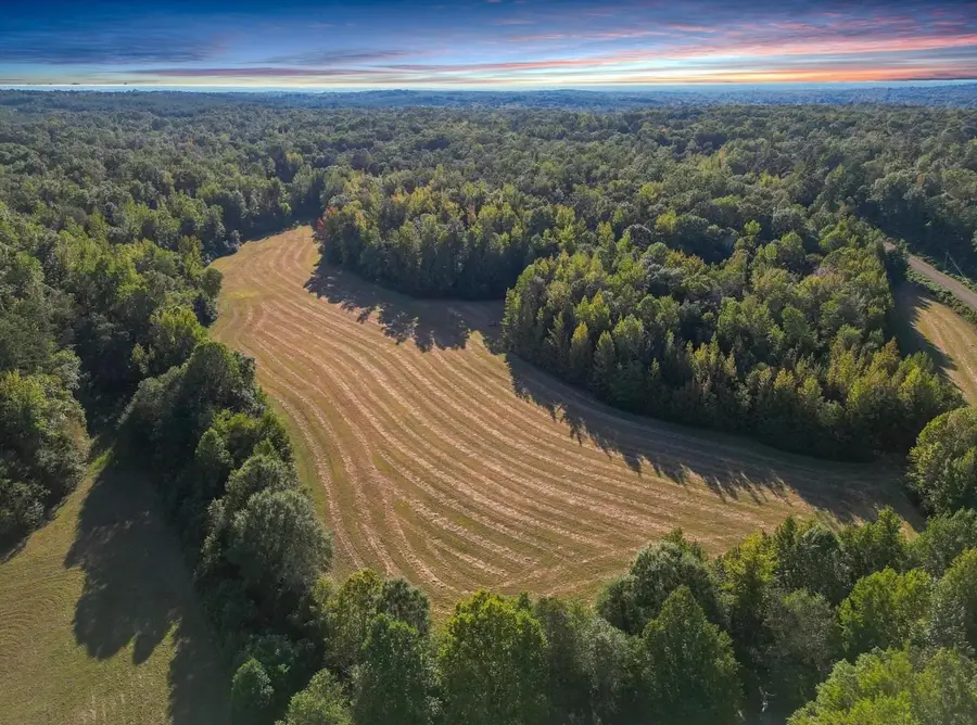 3085 FORREST HILL RD, Bolivar, TN 38008 - #2