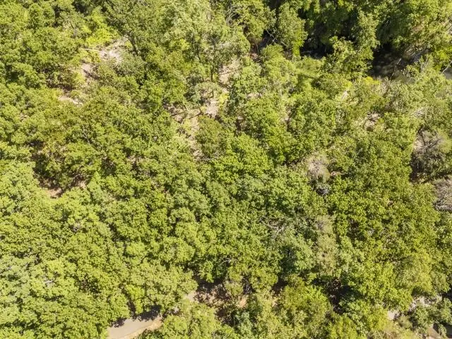 0 HOLLOW TREE RD, Savannah, TN 38372 - #3
