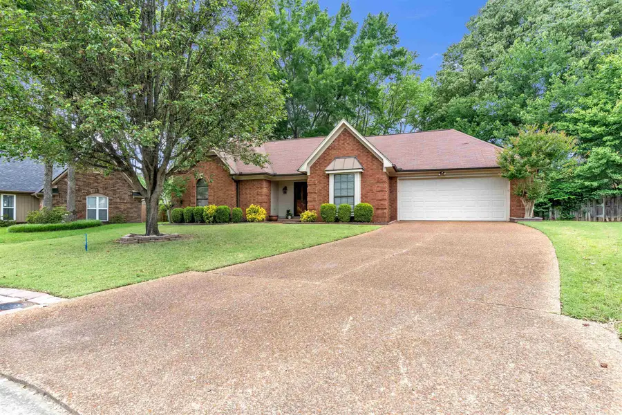 1387 SAND CREEK CV, Cordova, TN 38016 - #3