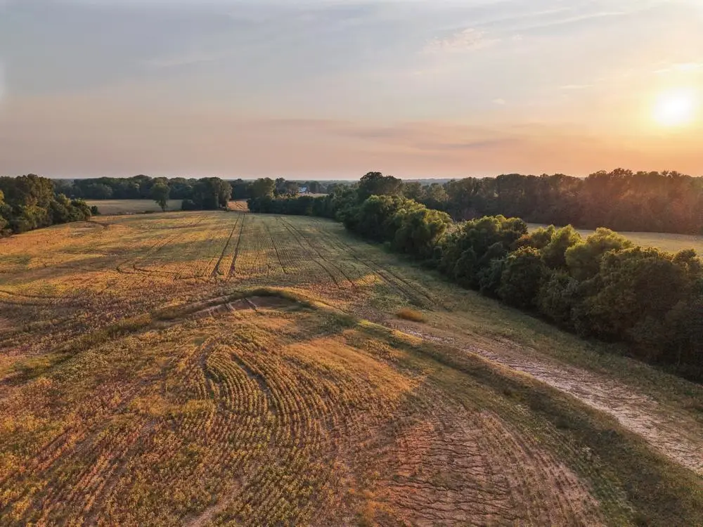 0 MUDVILLE RD, Atoka, TN 38004 - #1