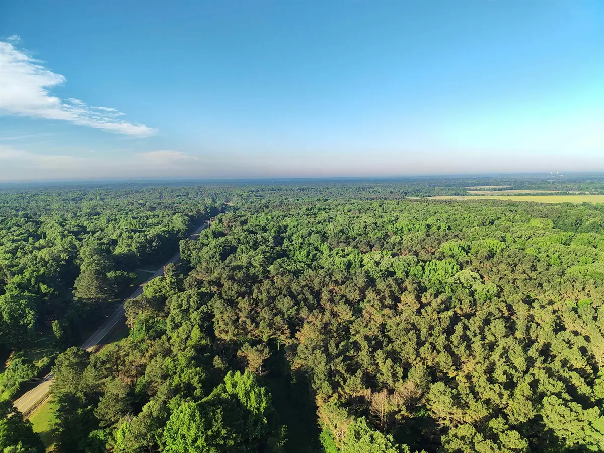 65 RED BANKS RD, Byhalia, MS 38611 - #1