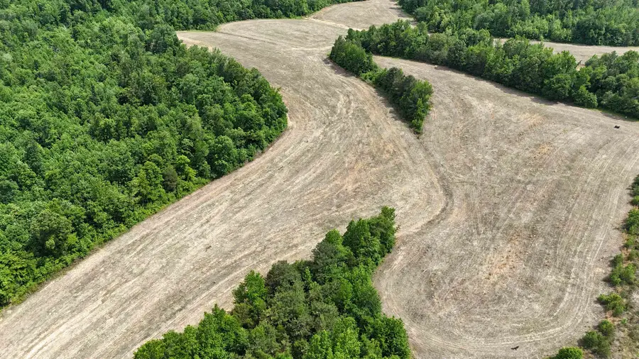 1200 SAND RIDGE BARGERTON RD, Lexington, TN 38351 - #3