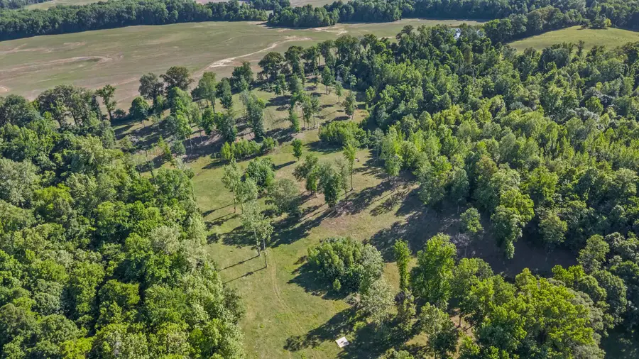 341 LONG HOLE RD, Ripley, TN 38063 - #3