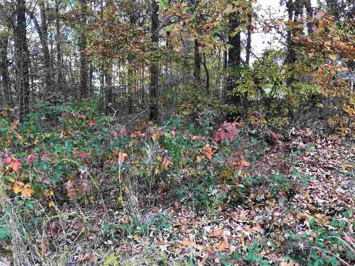 1 COUNTRYWOODS DR, Selmer, TN 38375 - #1