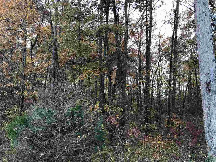 1 COUNTRYWOODS DR, Selmer, TN 38375 - #2