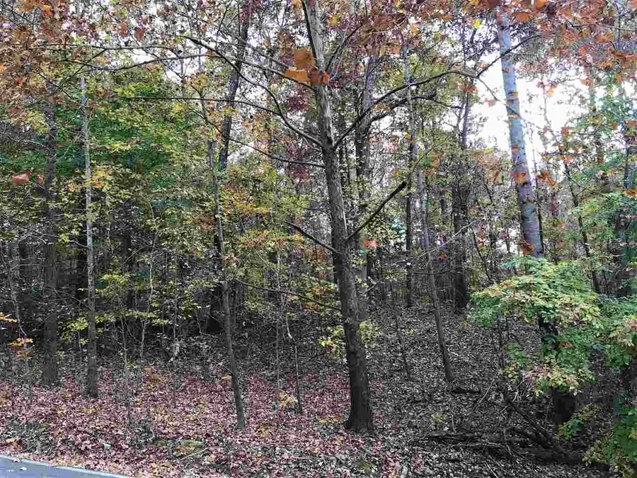 12 COUNTRY WOODS DR, Selmer, TN 38375 - #2