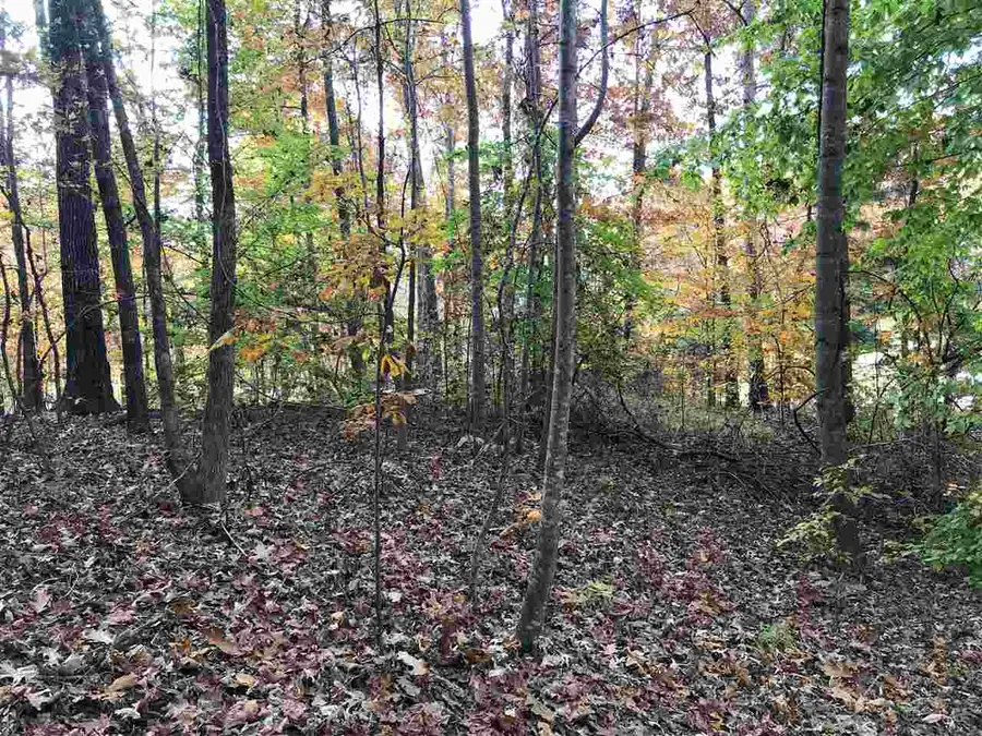 12 COUNTRY WOODS DR, Selmer, TN 38375 - #3