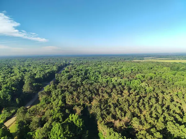 66 RED BANKS RD, Byhalia, MS 38611