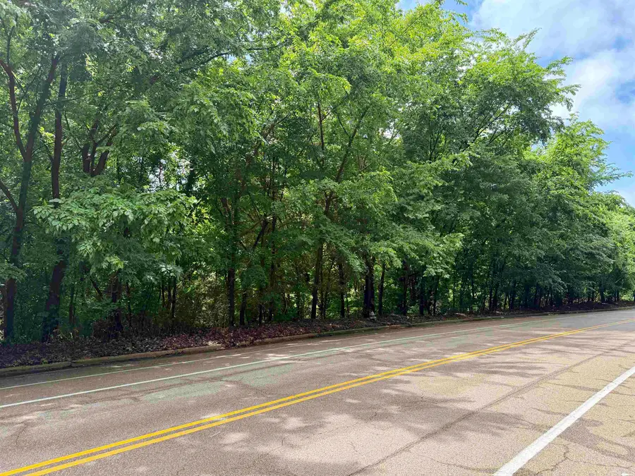 0 NORTHHAVEN DR, Memphis, TN 38127 - #3
