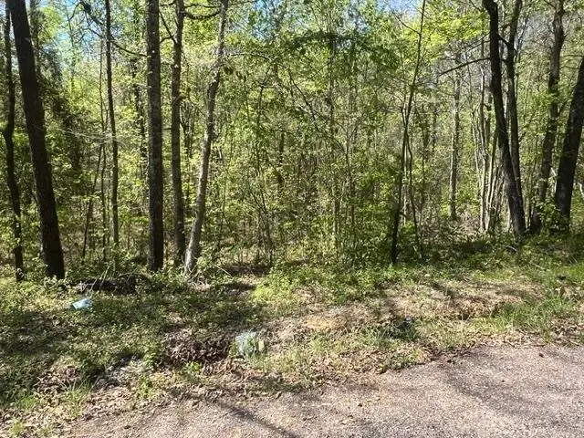 HINES GIN RD, Selmer, TN 38375 - #1