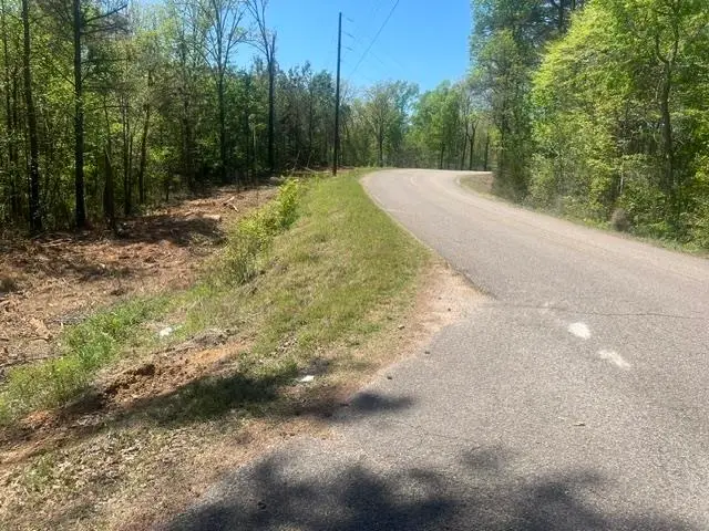 HINES GIN RD, Selmer, TN 38375 - #2