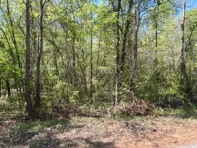 HINES GIN RD, Selmer, TN 38375 - #3
