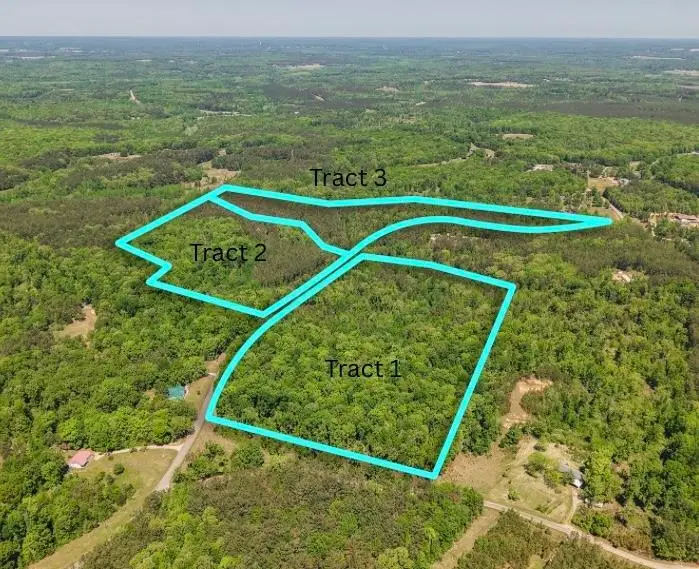 0 ED BARHAM TRACK 3 RD, Bethel Springs, TN 38315 - #2