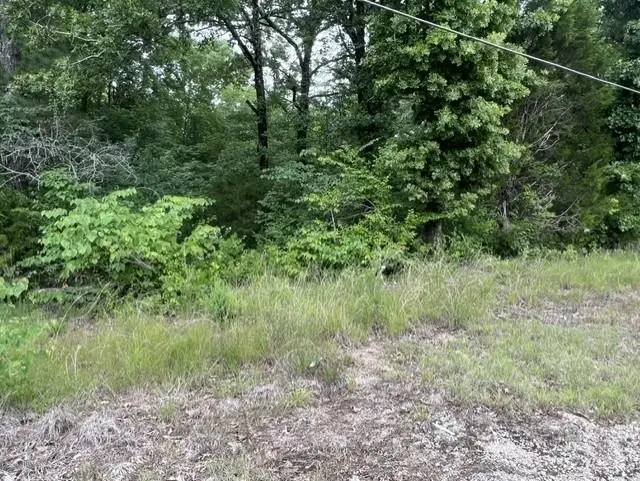 BURNETT MILLS RD, Bolivar, TN 38008 - #2