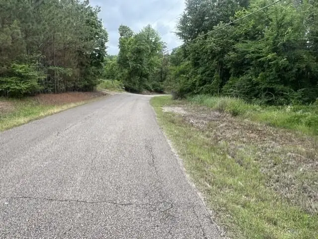BURNETT MILLS RD, Bolivar, TN 38008 - #3