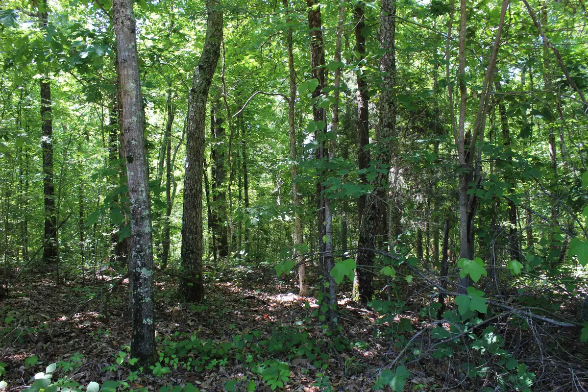 000 EBENEZER RD, Toone, TN 38381 - #1