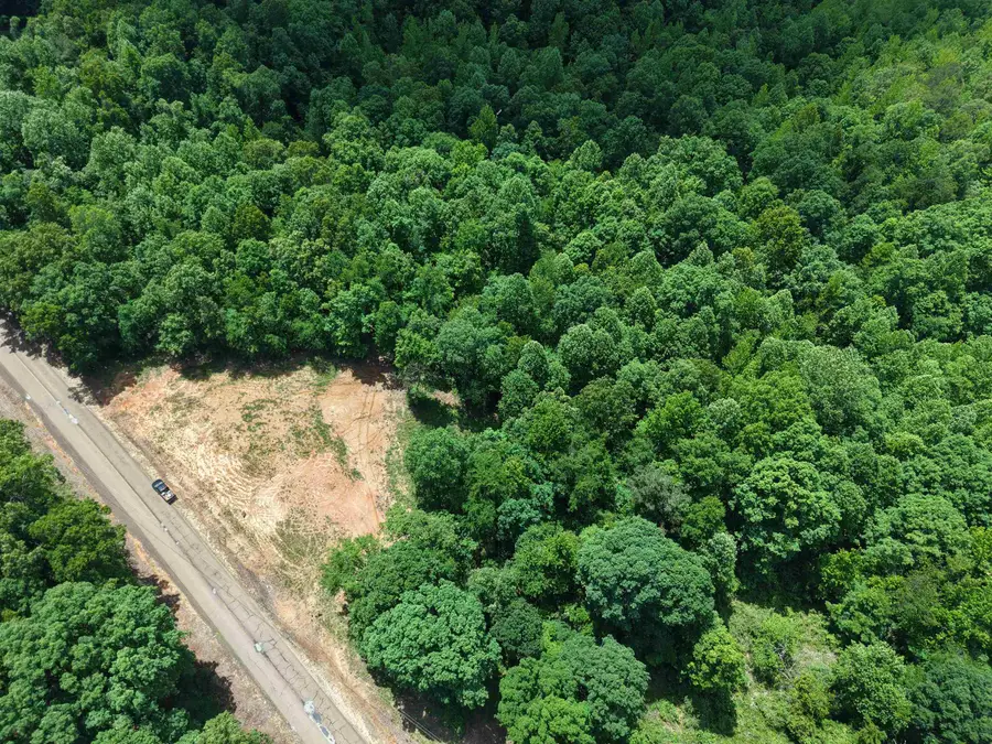 000 EBENEZER RD, Toone, TN 38381 - #3