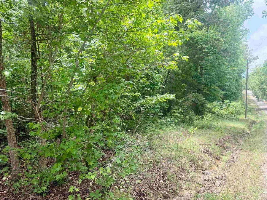 28 & 29 PLEASANT RIDGE LOOP, Adamsville, TN 38310 - #2