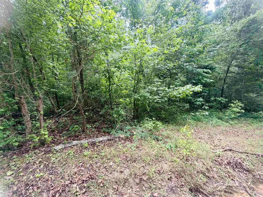 28 & 29 PLEASANT RIDGE LOOP, Adamsville, TN 38310 - #3