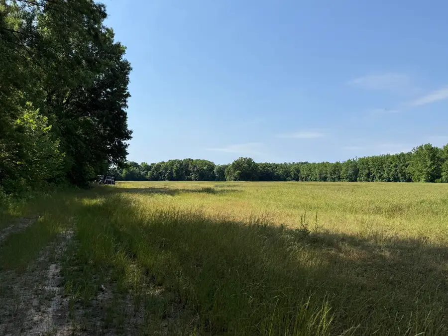 1 CARTER RD, Saltillo, TN 38370 - #3