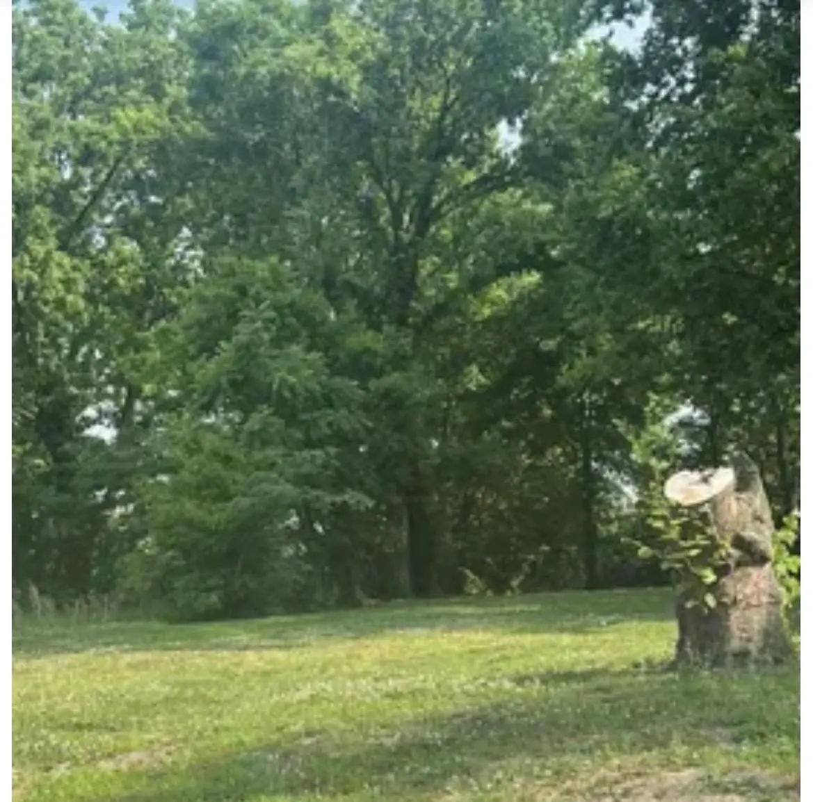 7 W DEMPSTER AVE, Memphis, TN 38109 - #1