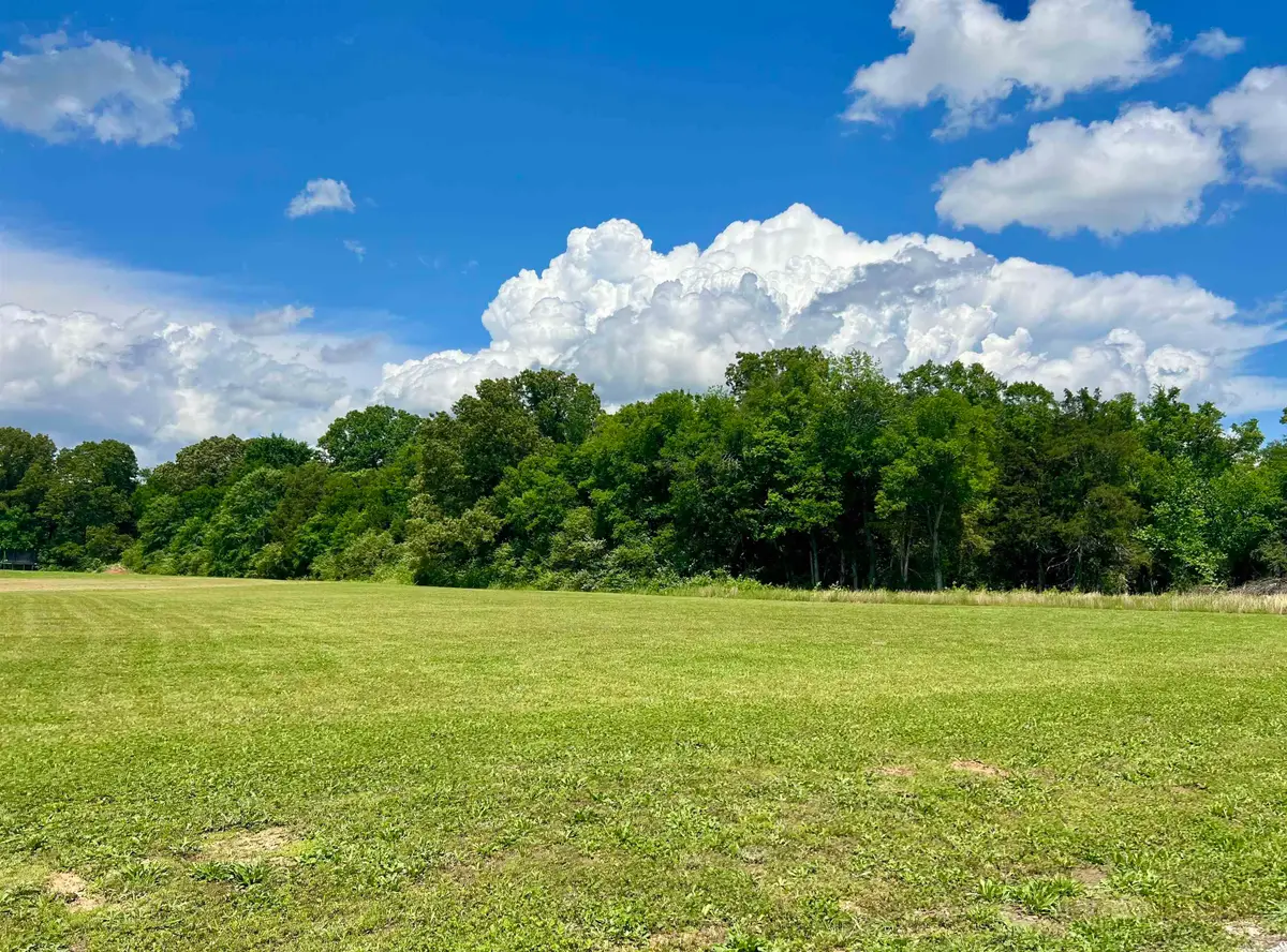 LOT 17 CORDOVA CV, Savannah, TN 38372 - #1