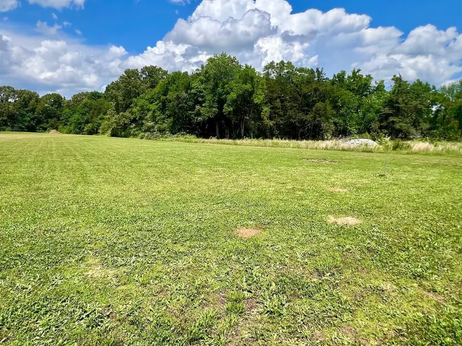 LOT 17 CORDOVA CV, Savannah, TN 38372 - #2