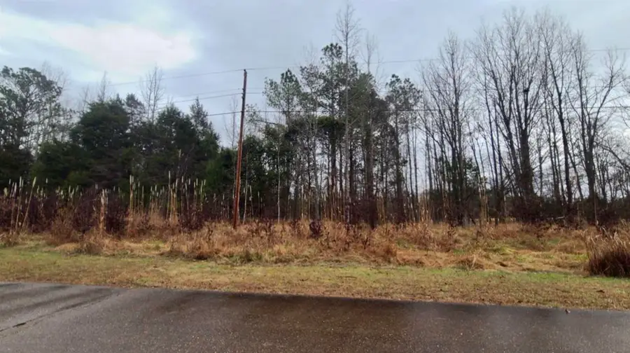 487 FAIRWAY DR, Saulsbury, TN 38067 - #3