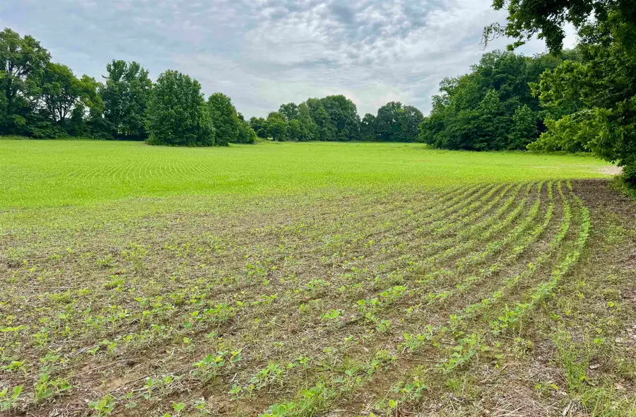 1150 WILLIE PARIS RD, Ripley, TN 38063 - #2