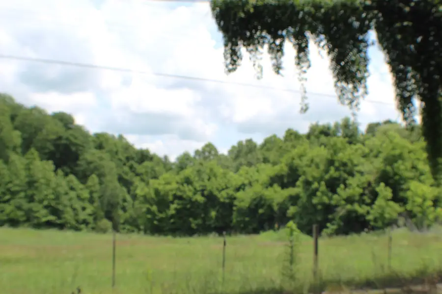 2456 RAY BLUFF RD, Millington, TN 38053 - #3