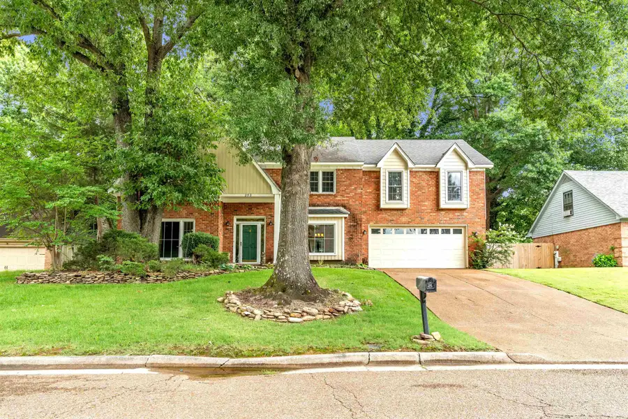 250 LOCUST GROVE DR, Cordova, TN 38018 - #2
