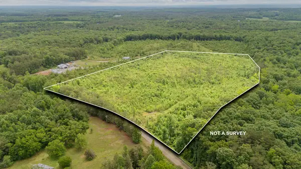 0000 LEAPWOOD ENVILLE RD, Adamsville, TN 38310