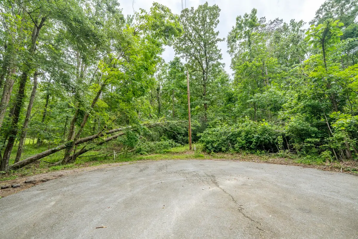 LOT 527 MASTERS CT, Counce, TN 38326 - #1