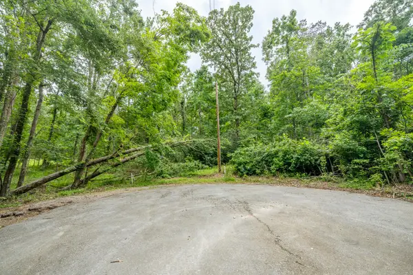 LOT 527 MASTERS CT, Counce, TN 38326
