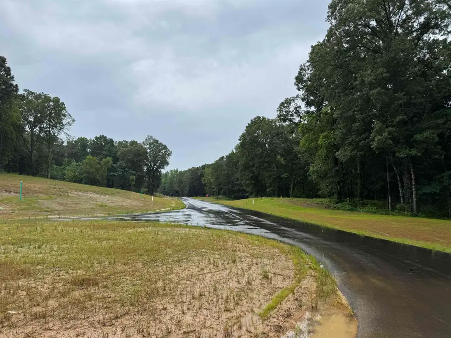 260 MILLBURY LN, Eads, TN 38028 - #2