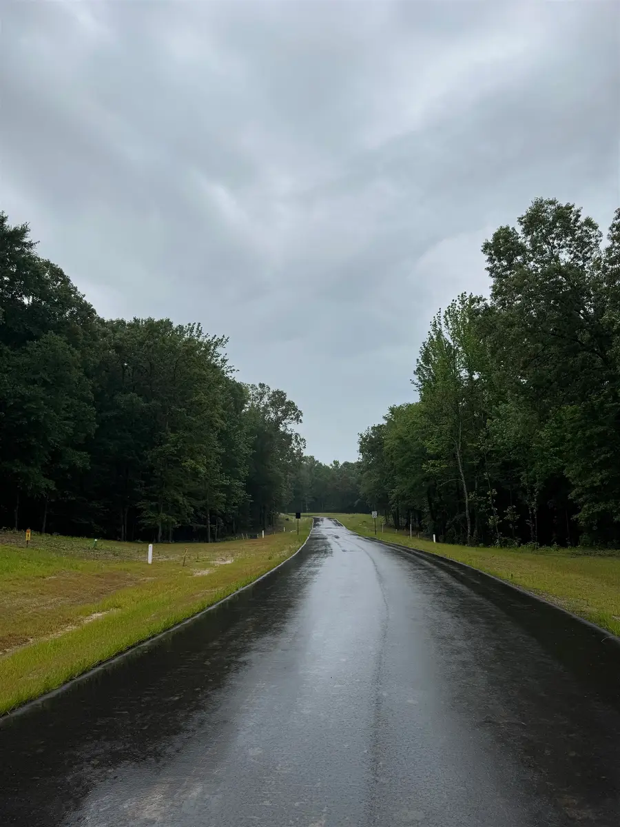 260 MILLBURY LN, Eads, TN 38028 - #3
