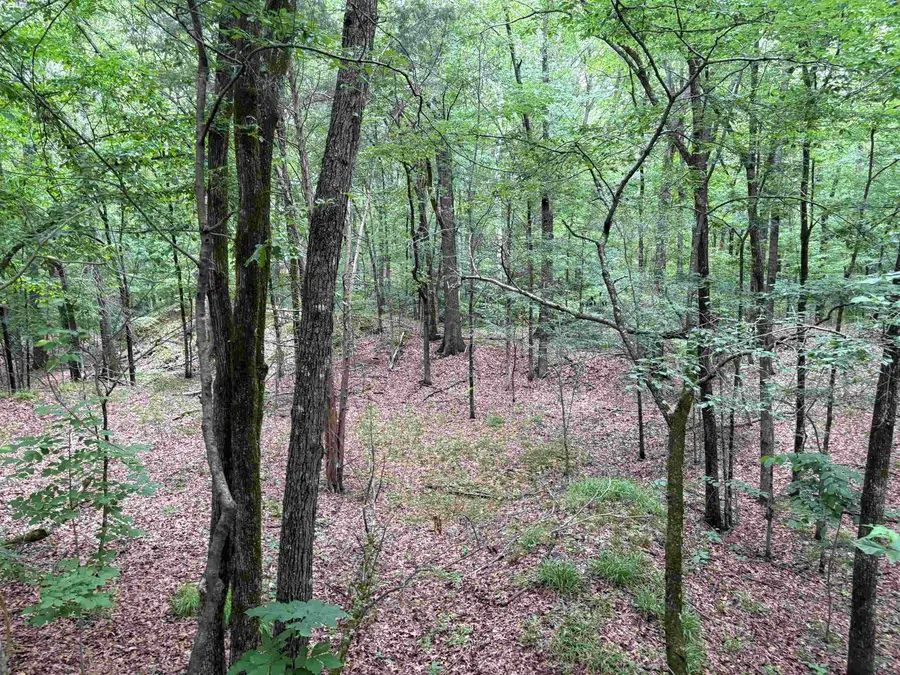 0 ROCKY POINT RD, Cordova, TN 38018 - #3