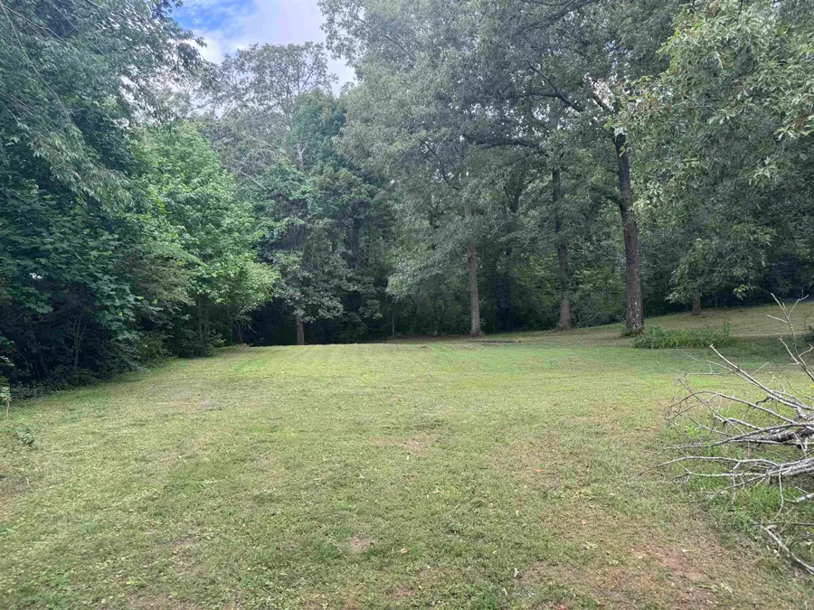95 AMY LN, Crump, TN 38327 - #2