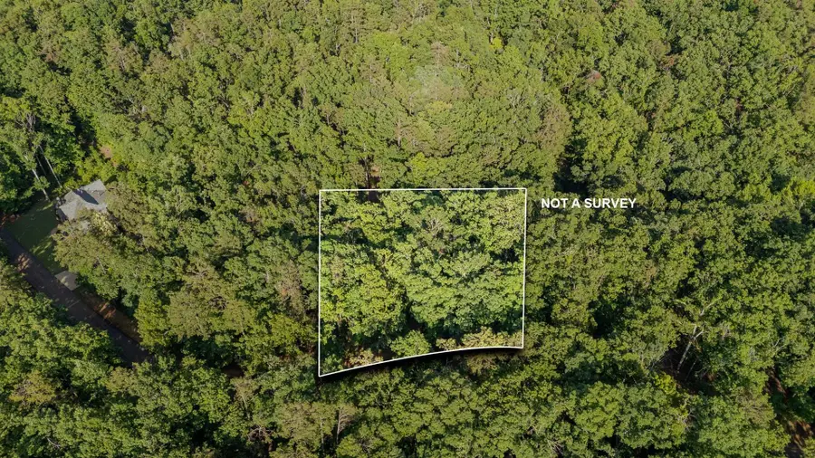 LOT 275 ANDERSON HOLLOW RD, Savannah, TN 38372 - #2