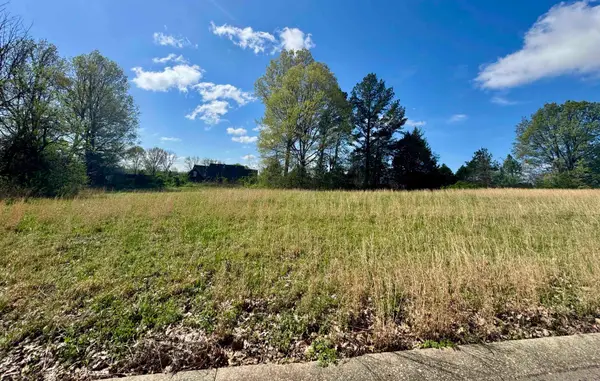 060 YORK CMNS ST, Ripley, TN 38063