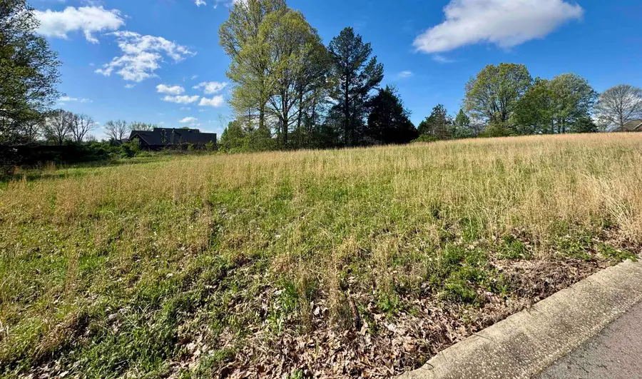060 YORK CMNS ST, Ripley, TN 38063 - #2