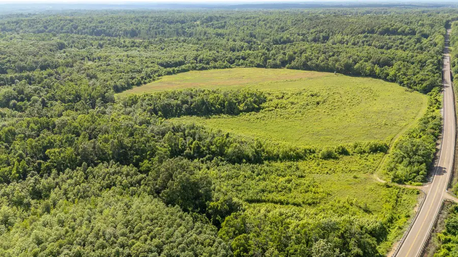 22 HWY, Adamsville, TN 38310 - #2