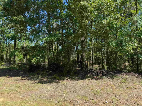 CLEMENT DR, Savannah, TN 38372