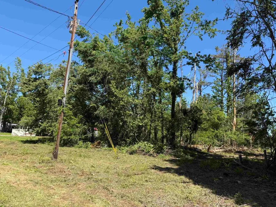 CLEMENT DR, Savannah, TN 38372 - #2