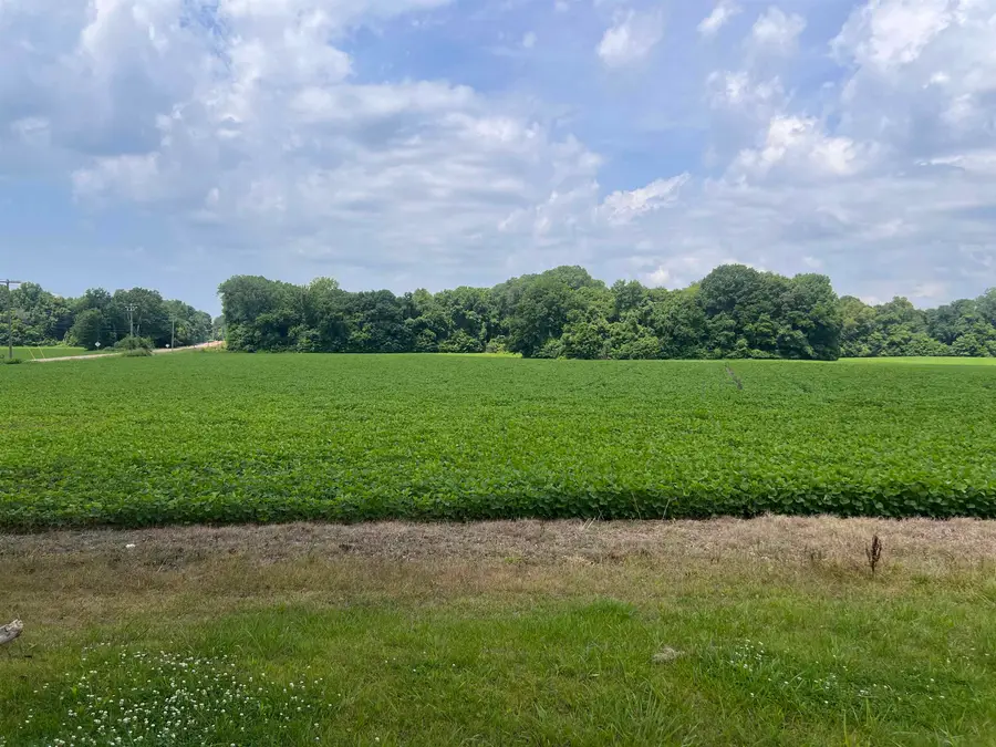 9820 W HWY 59 HWY, Burlison, TN 38015 - #2